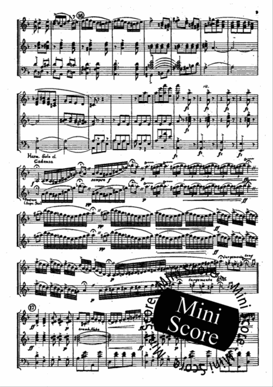 Slavische Rhapsodie No. 2 Concert Band scores gallery preview page 10