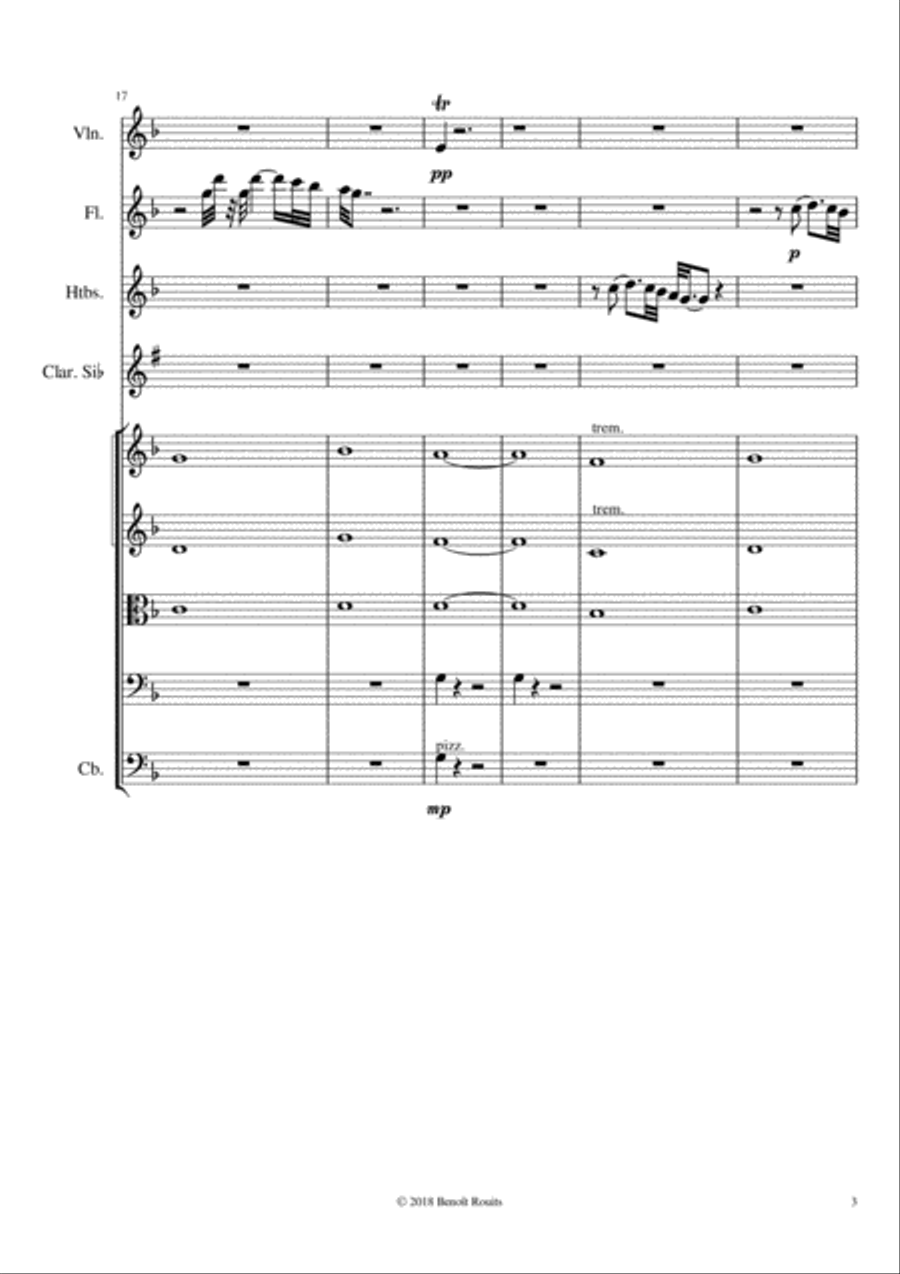 L'arrivée Chamber Orchestra scores gallery preview page 3