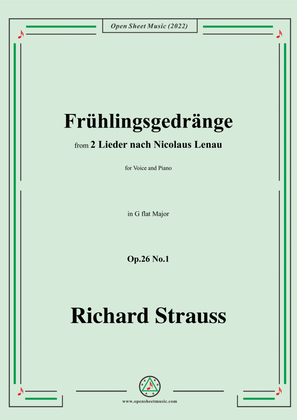 Book cover for Richard Strauss-Frühlingsgedränge,in G flat Major