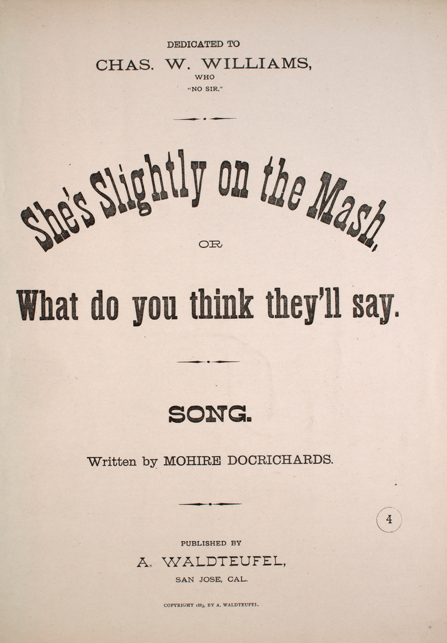 She's Slighty on the Mash, or, What Do You Think They'll Say? Song