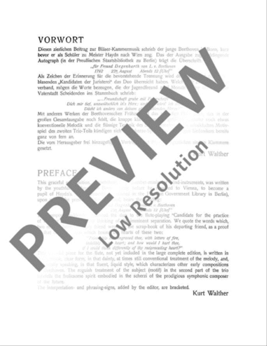 Allegro and Menuet Flute Duet scores gallery preview page 3