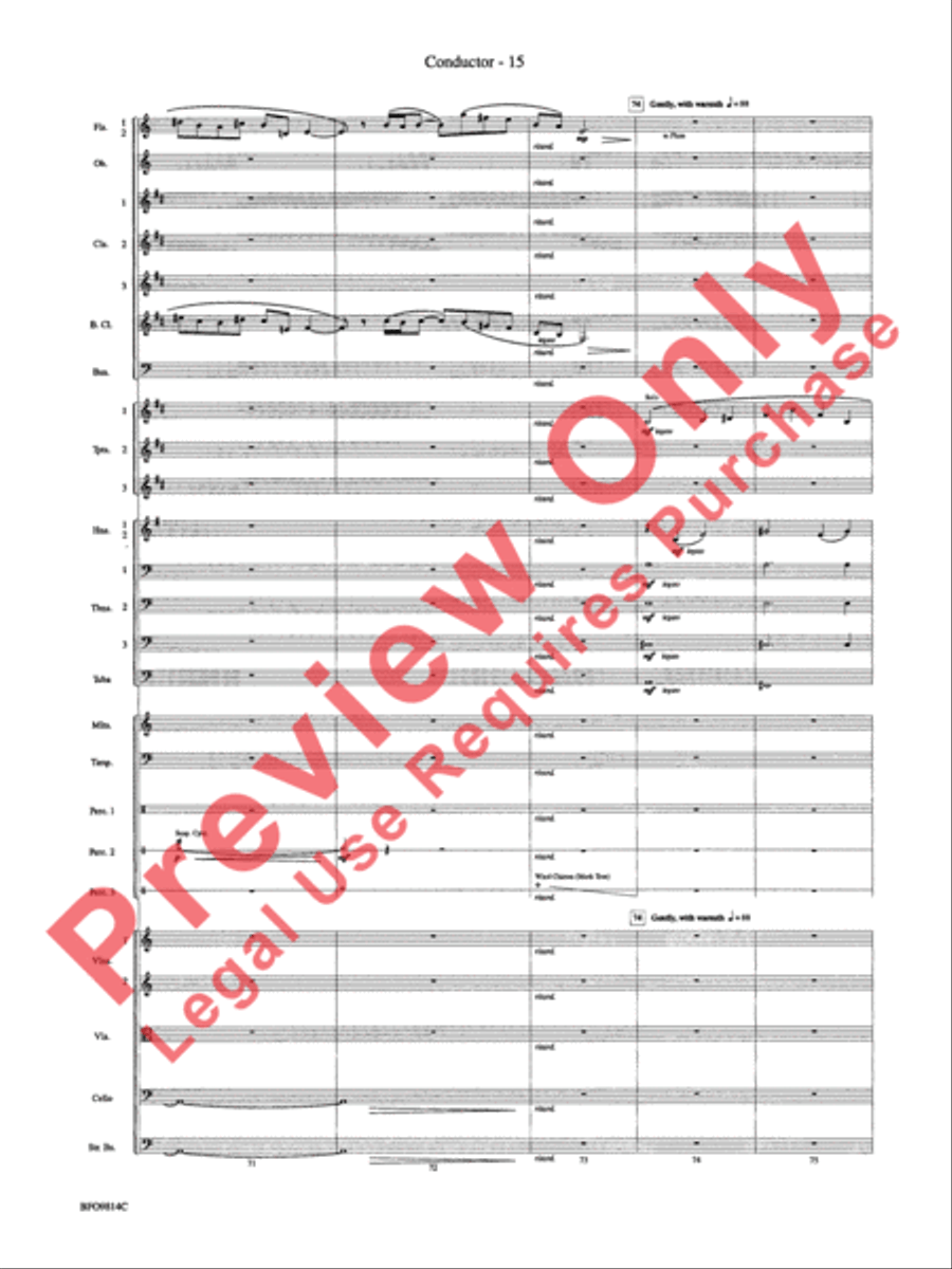 Into the Storm Full Orchestra scores gallery preview page 18