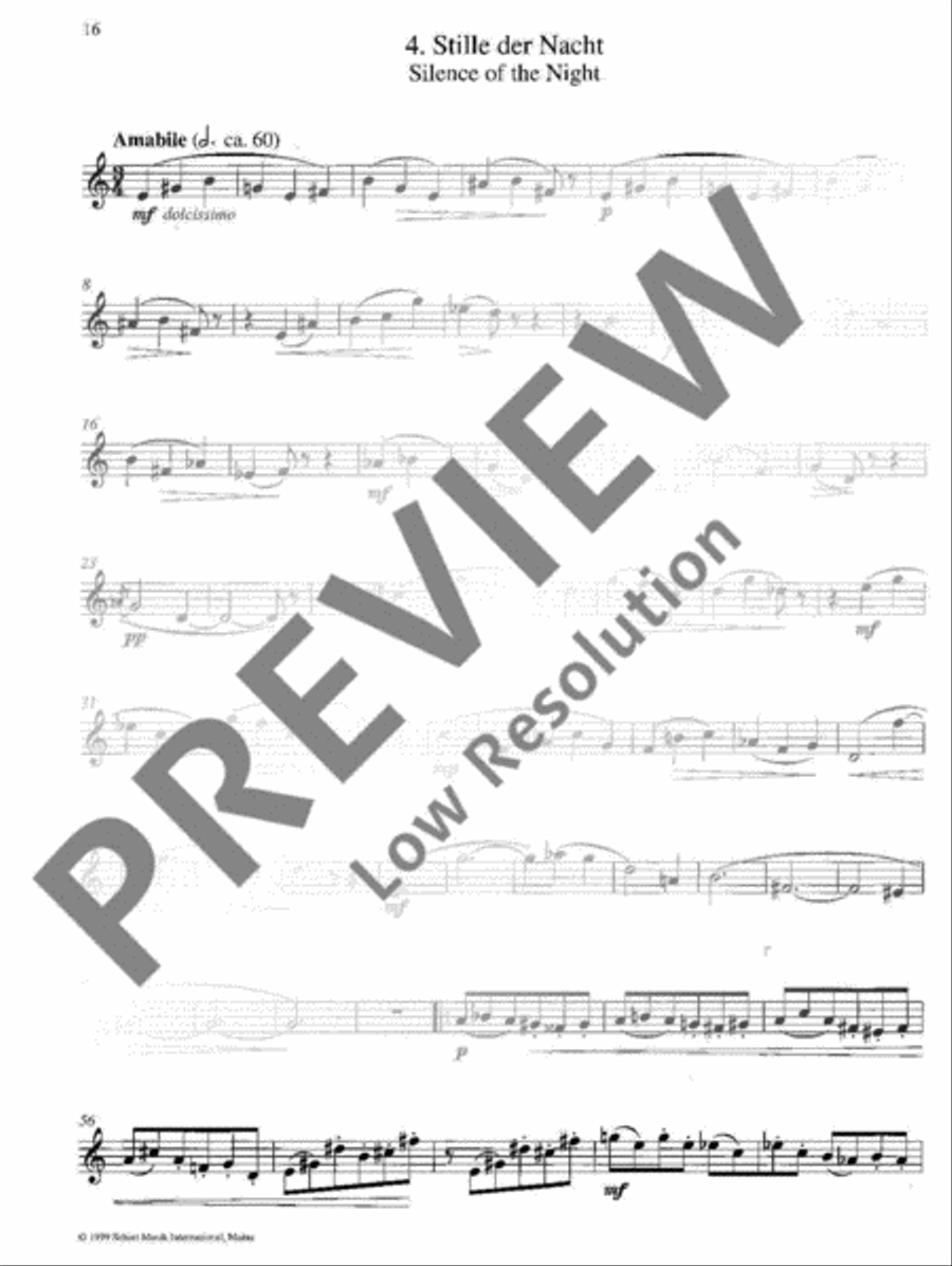 Klänge der Nacht Tenor Recorder scores gallery preview page 17