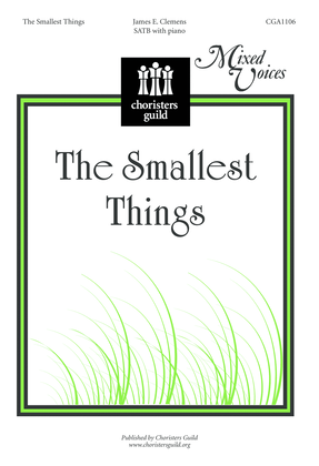 Book cover for The Smallest Things