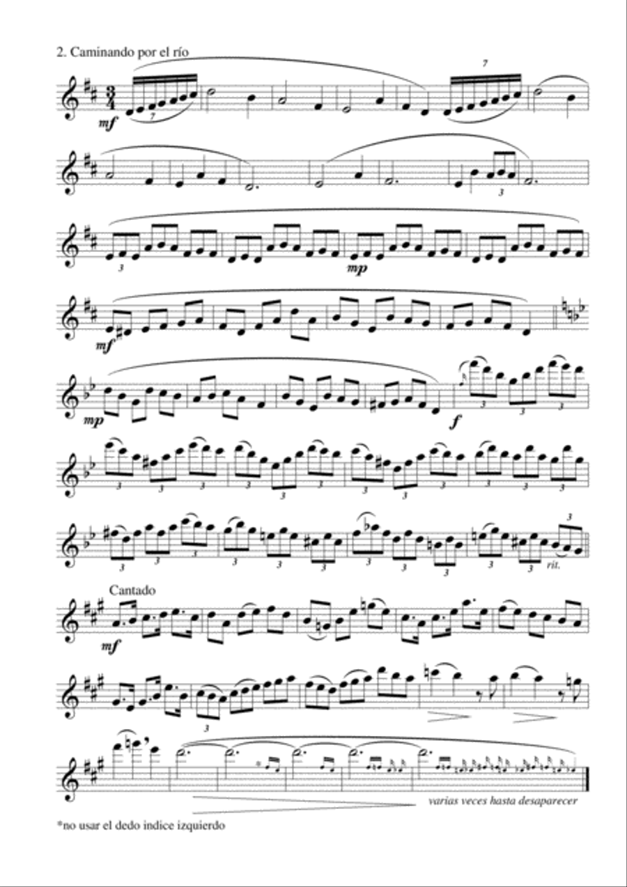 Fantasia N° 3 Op 24 para flauta sola 