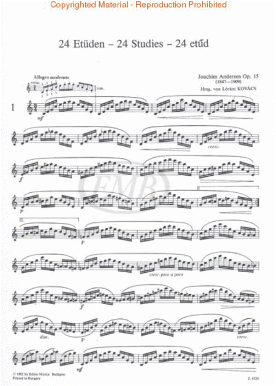 24 Studies for Flute, Op. 15 Flute Solo scores gallery preview page 2