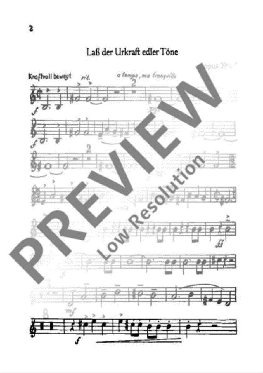 Wandspruch-Kantate TTBB scores gallery preview page 9