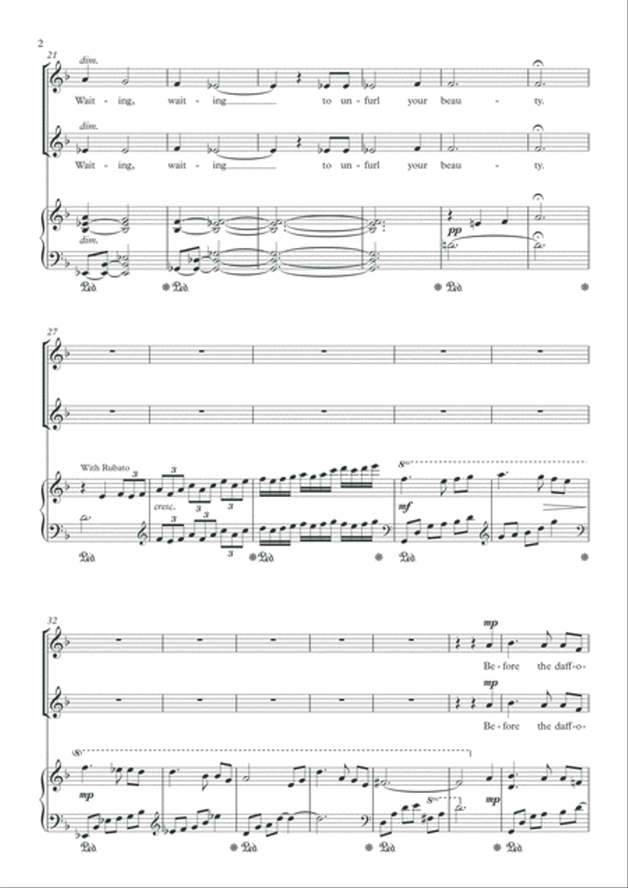 A Fern A Fern SA scores gallery preview page 3