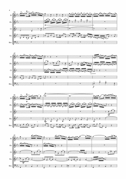 Wind Quintet: Johann Sebastian Bach _ Fugue in G minor image number null