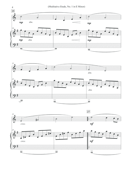 Meditative Etude, No. 1 in E Minor - Alto Flute & Piano image number null