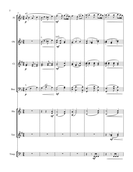 Chamber Symphony No 2 in D minor (Requiem) Score and Parts
