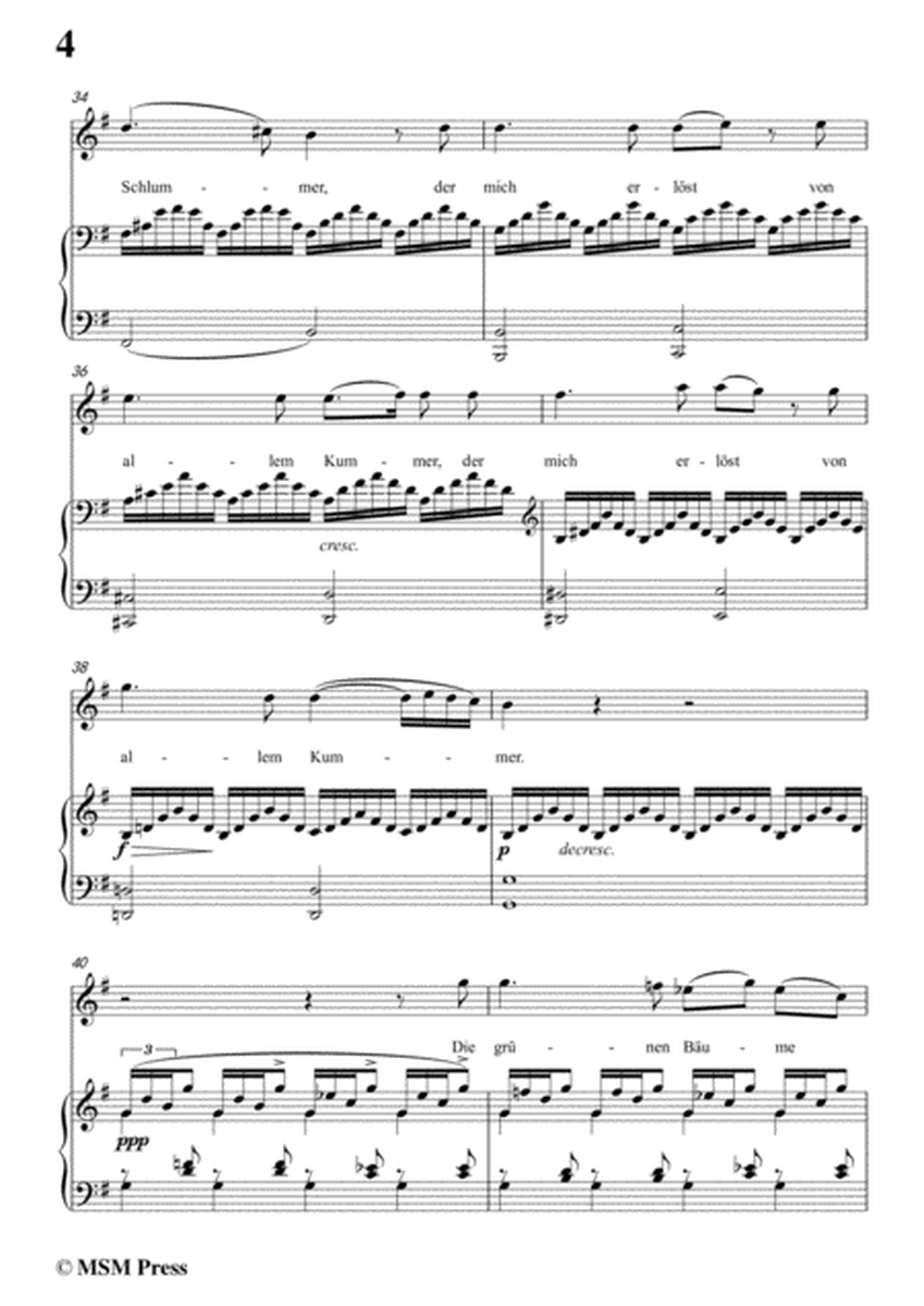 Schubert-Nachtstück,Op.36 No.2,in e minor,for Voice&Piano image number null