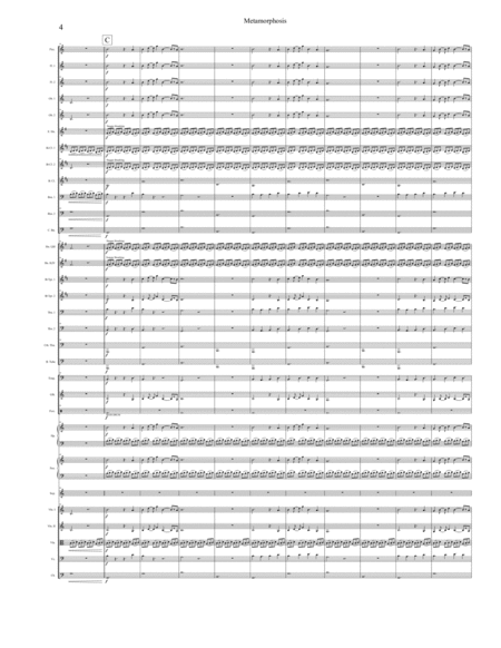 Metamorphosis (Full Orchestra) image number null