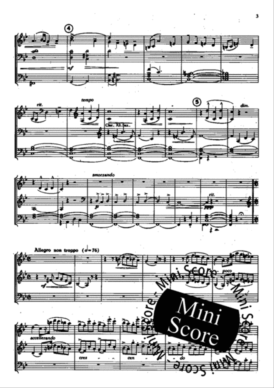 De Elzenkoning Fanfare Band scores gallery preview page 7