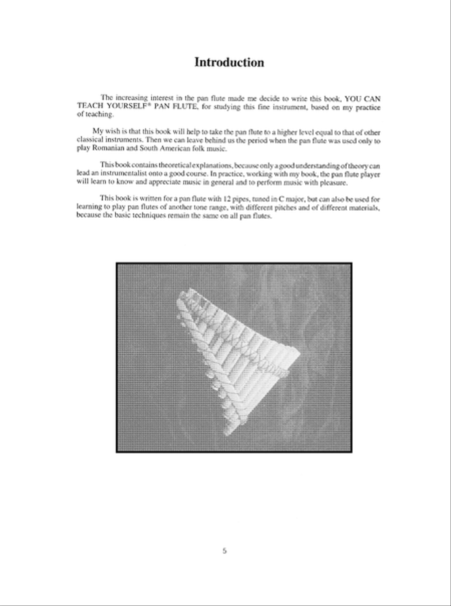 You Can Teach Yourself Pan Flute Flute scores gallery preview page 11