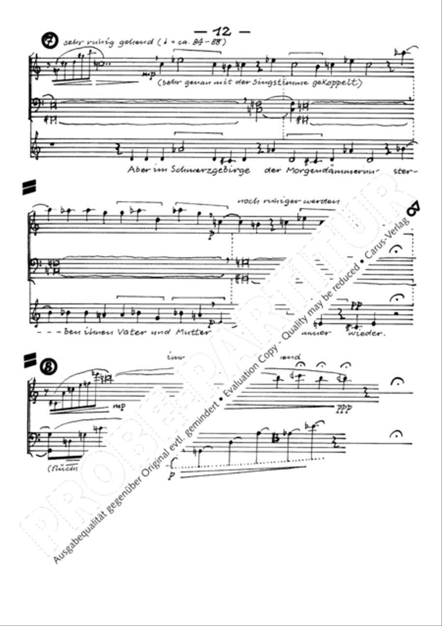 Todesblumen Flute scores gallery preview page 15