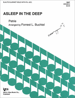 Book cover for Asleep in the Deep