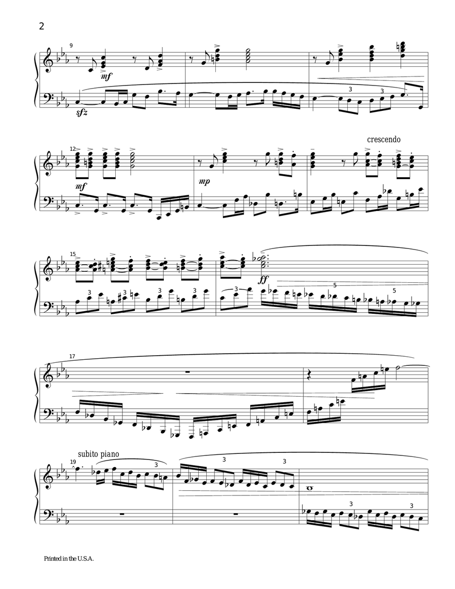 Piano Sonata No. 1 in C minor Piano Solo scores gallery preview page 2