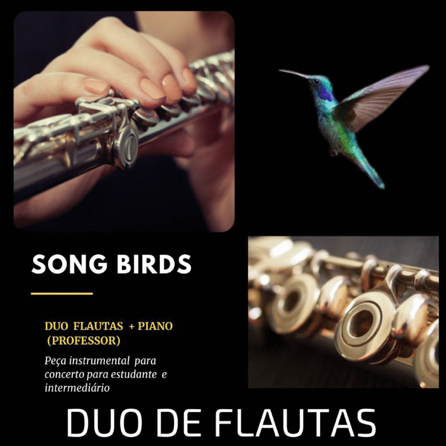 SONG BIRDS - Dueto Flauta Transversal / Doce + Piano (Professor) image number null