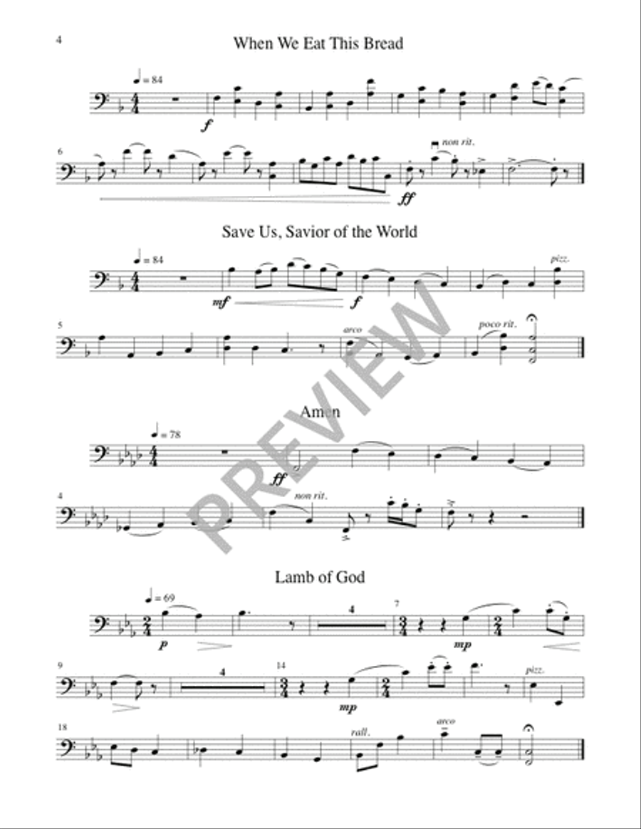 A Community Mass - String edition Flute scores gallery preview page 16
