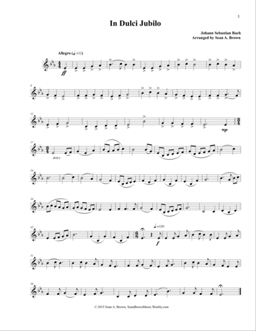 Christmas Carols for the Lonely Hornist, Vol. 1 Horn Solo scores gallery preview page 5