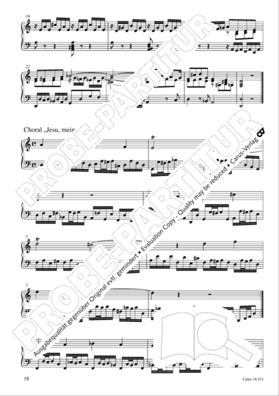Chorale arrangements. First part of the Clavier-Ubung Collection / Songbook scores gallery preview page 19