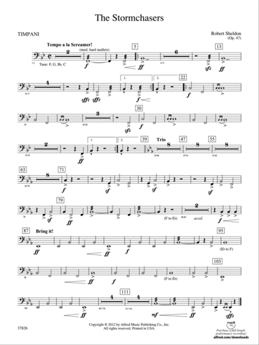 The Stormchasers: Timpani Concert Band scores gallery preview page 1