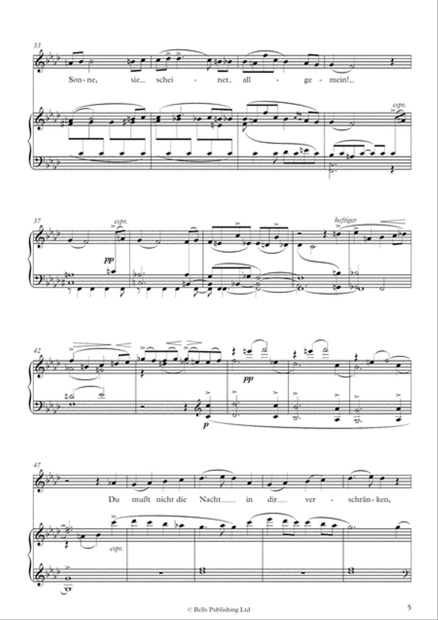Kindertotenlieder Voice Solo scores gallery preview page 5