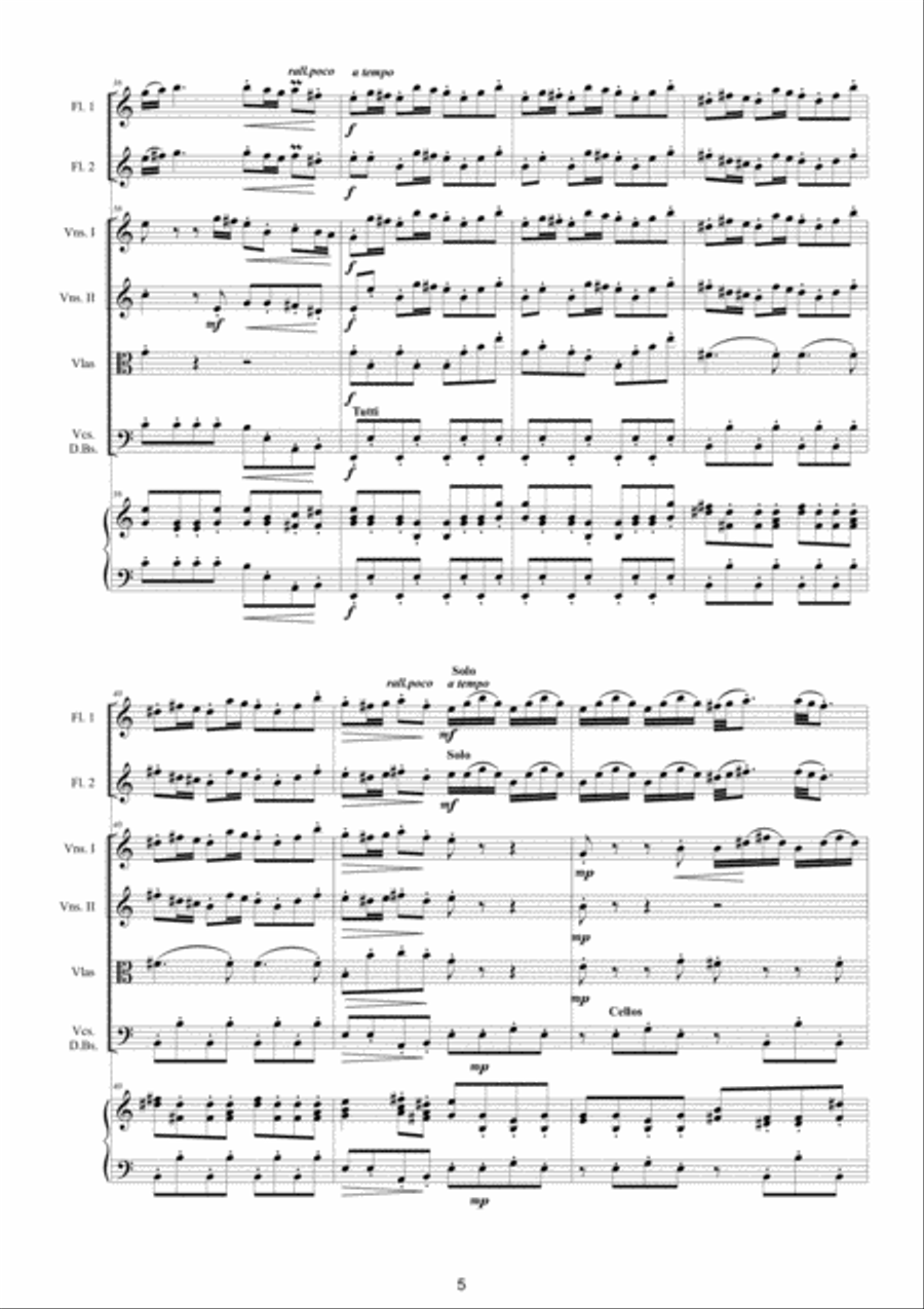 Vivaldi - Double Concerto in C major RV 533 for Two Flutes, Strings and Cembalo Woodwind Ensemble scores gallery preview page 5