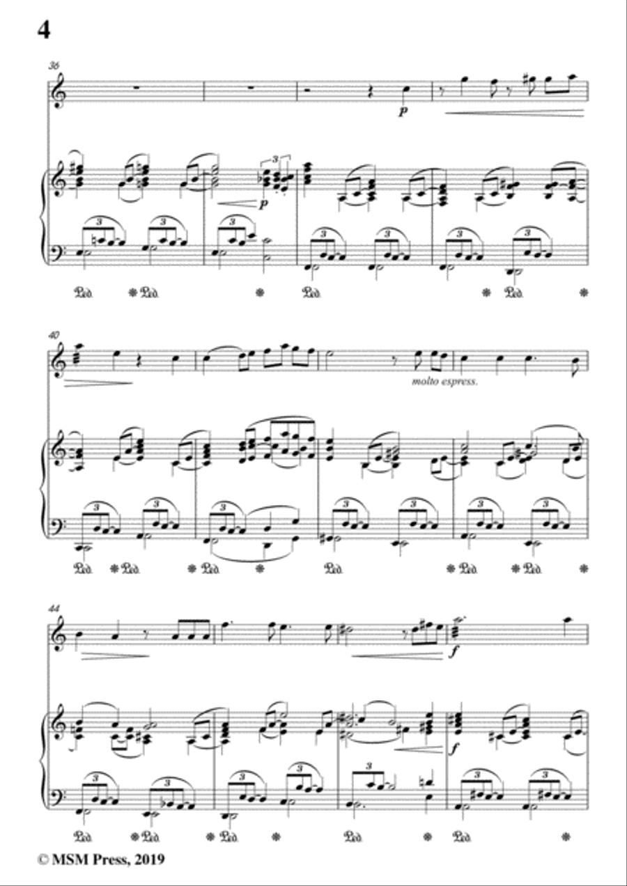 Richard Strauss-Die Georgine, for Violin and Piano Violin Solo scores gallery preview page 6