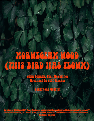 Norwegian Wood (this Bird Has Flown)