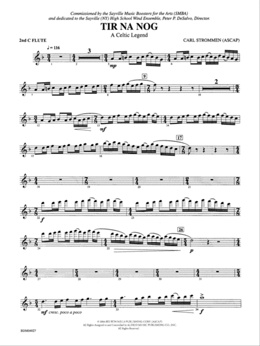 Tir Na Nog (A Celtic Legend): 2nd Flute Concert Band scores gallery preview page 1