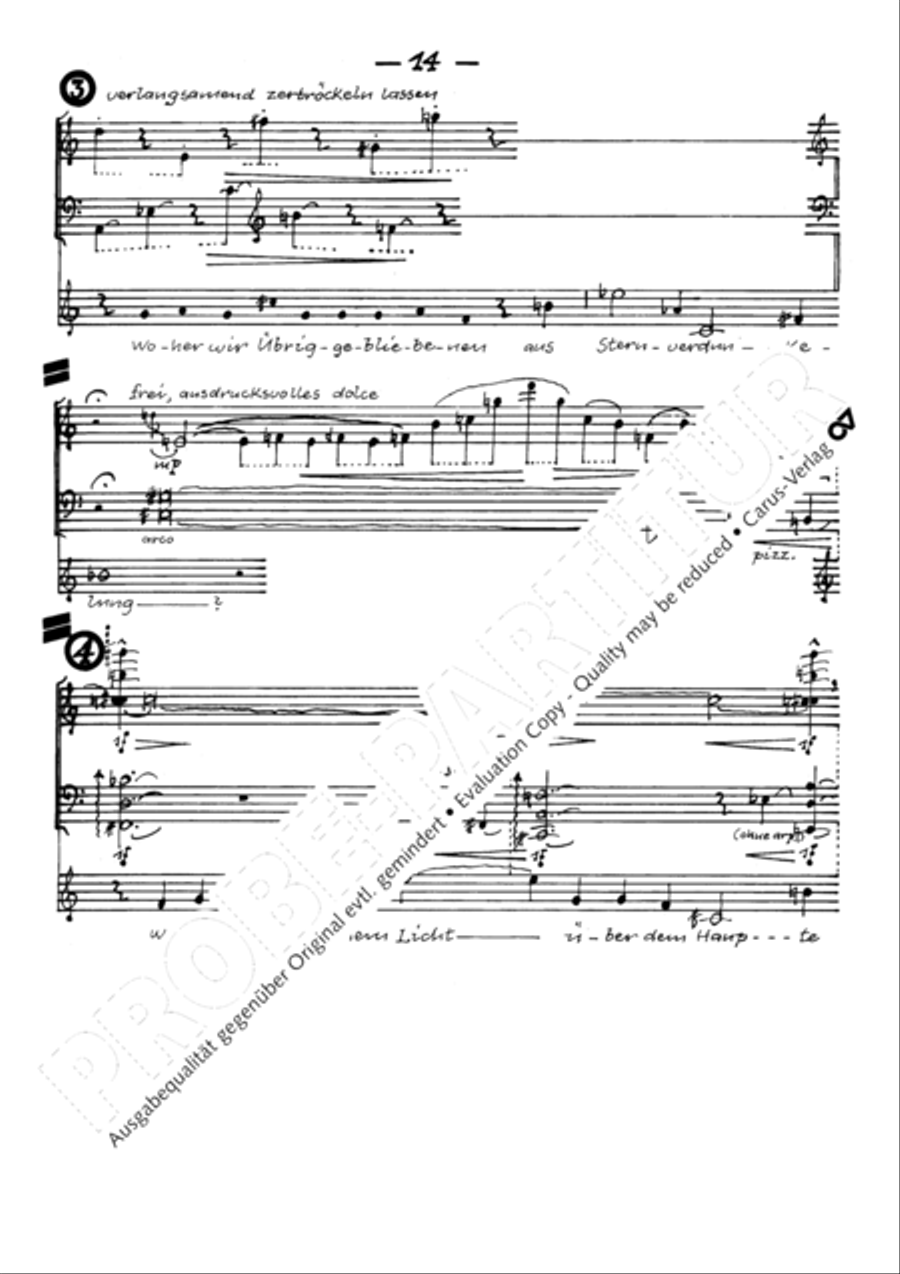 Todesblumen Flute scores gallery preview page 17