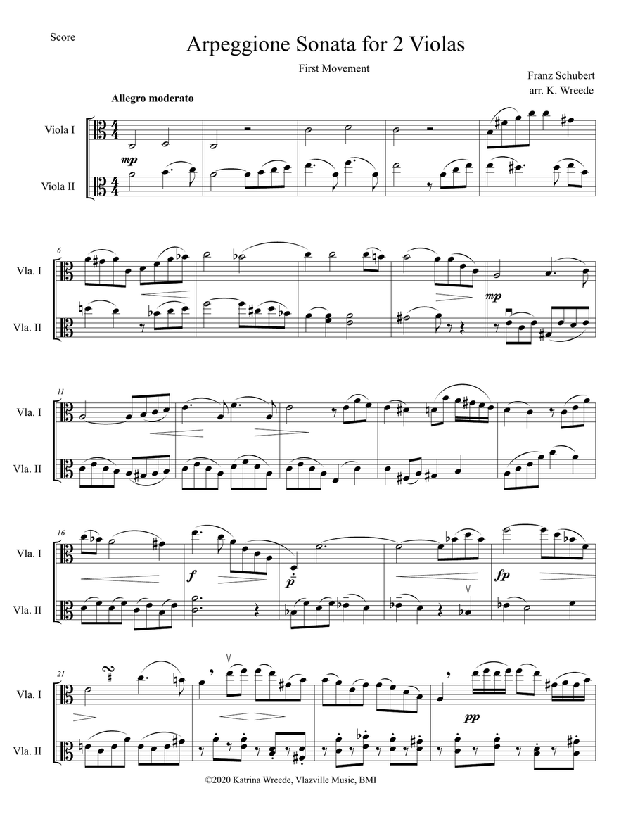 Arpeggione Sonata by Schubert (mvt 1) - for Viola Duet String Duet scores gallery preview page 1