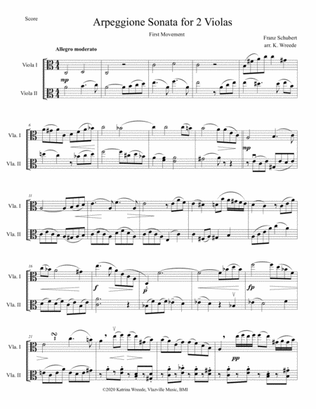 Arpeggione Sonata by Schubert (mvt 1) - for Viola Duet