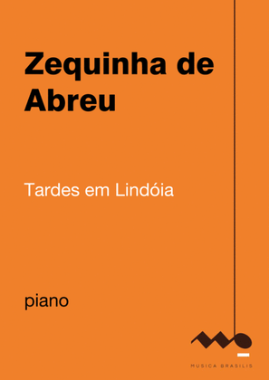 Book cover for Tardes em Lindóia
