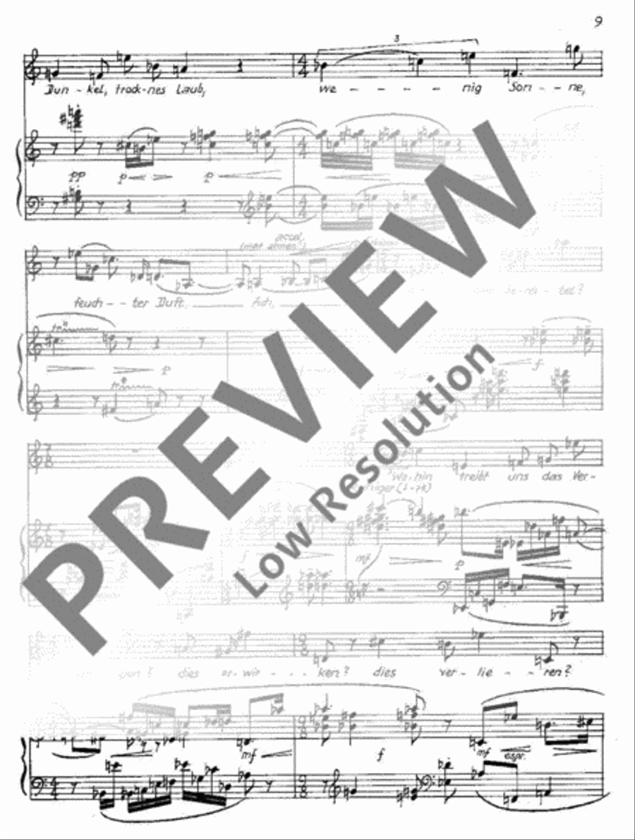 5 Lieder nach Kafka 5 Lieder nach Kafka Voice Solo scores gallery preview page 12