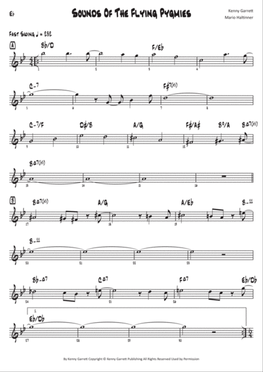 Sounds Of The Flying Pygmies Piano scores gallery preview page 2