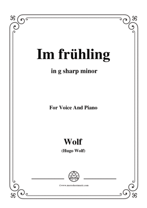Book cover for Wolf-Im frühling in g sharp minor,for Voice and Piano
