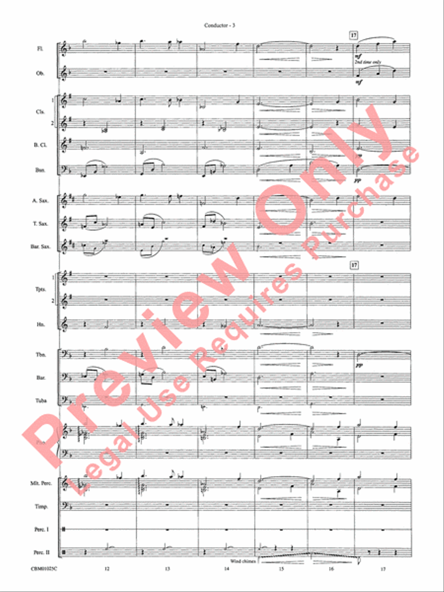Hedwig's Theme - Cb Concert Band scores gallery preview page 6