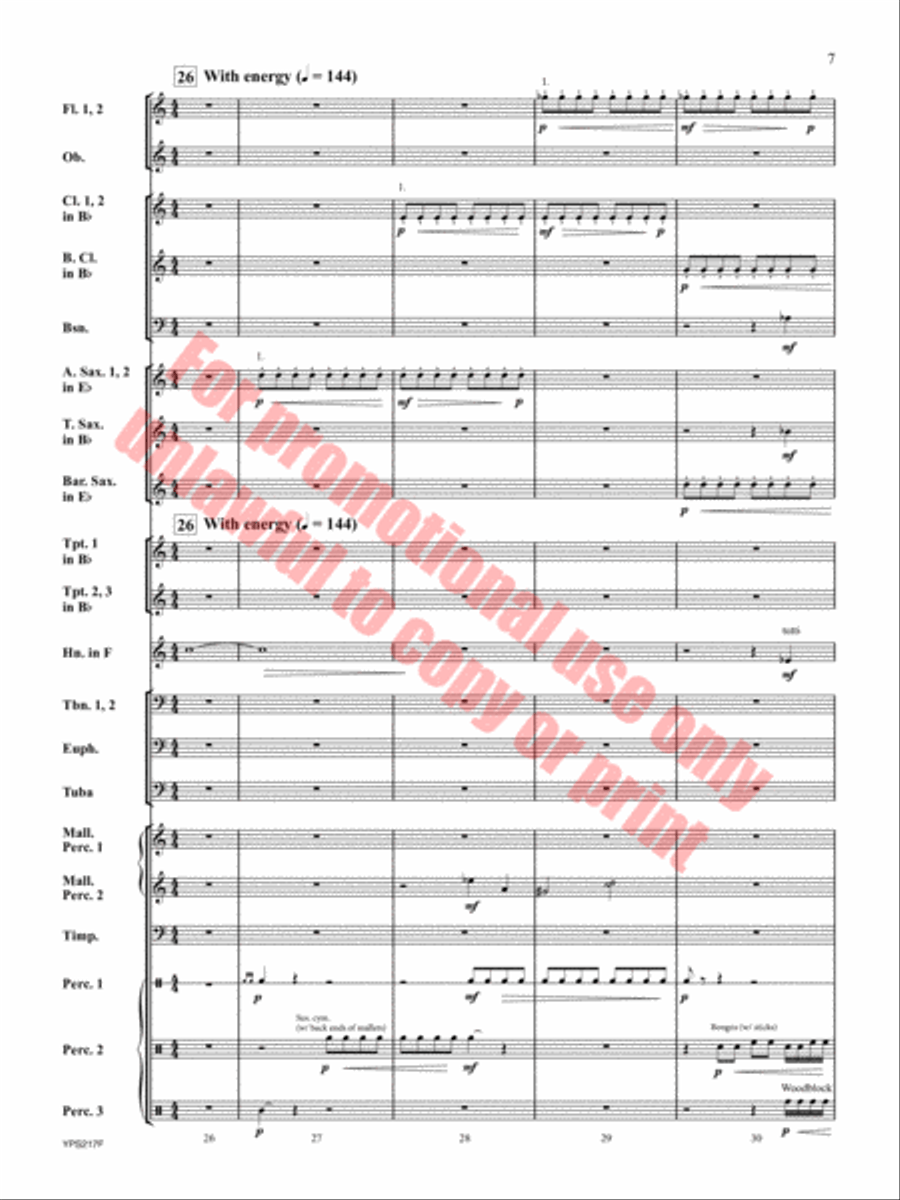 Hope Remains Within Concert Band scores gallery preview page 8