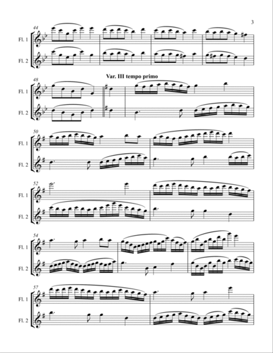 Auld Lang Syne (flute duet) Flute Duet scores gallery preview page 4