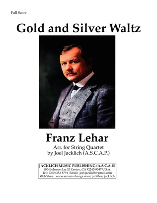 Book cover for Gold and Silver Waltz