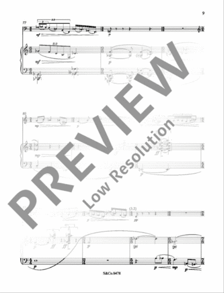 Sonata Piano Accompaniment scores gallery preview page 12