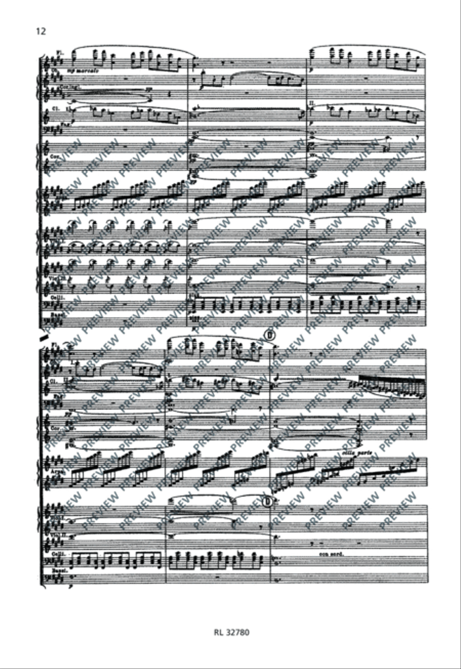 Pohjola's Daughter Orchestra scores gallery preview page 13
