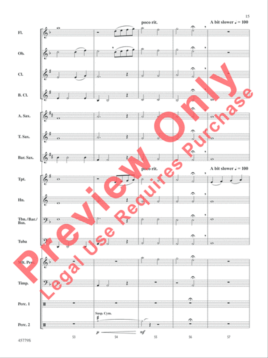 Mary, Did You Know? Concert Band scores gallery preview page 16