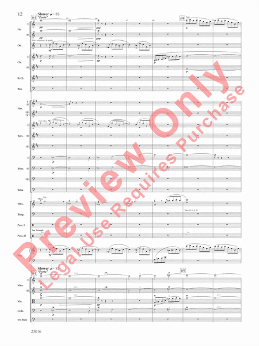 Bounty Hunter Theme from 