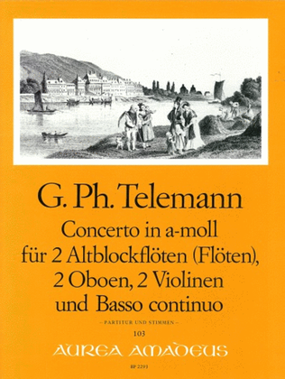 Book cover for Concerto A minor TWV 44:42
