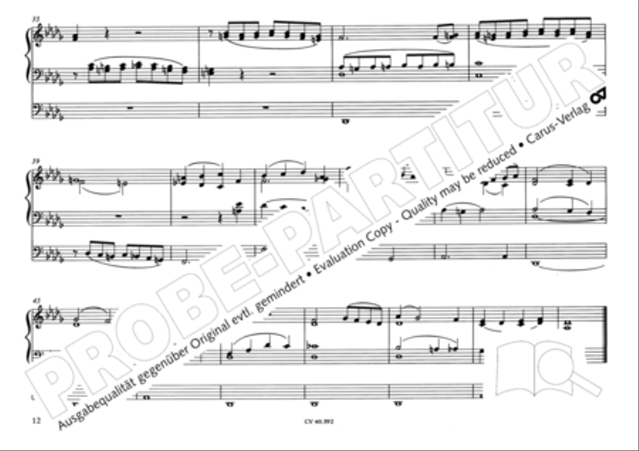 Free Organ Music from the Romantic Period, Vol. II (Freie Orgelmusik der Romantik, Band II) Organ scores gallery preview page 13