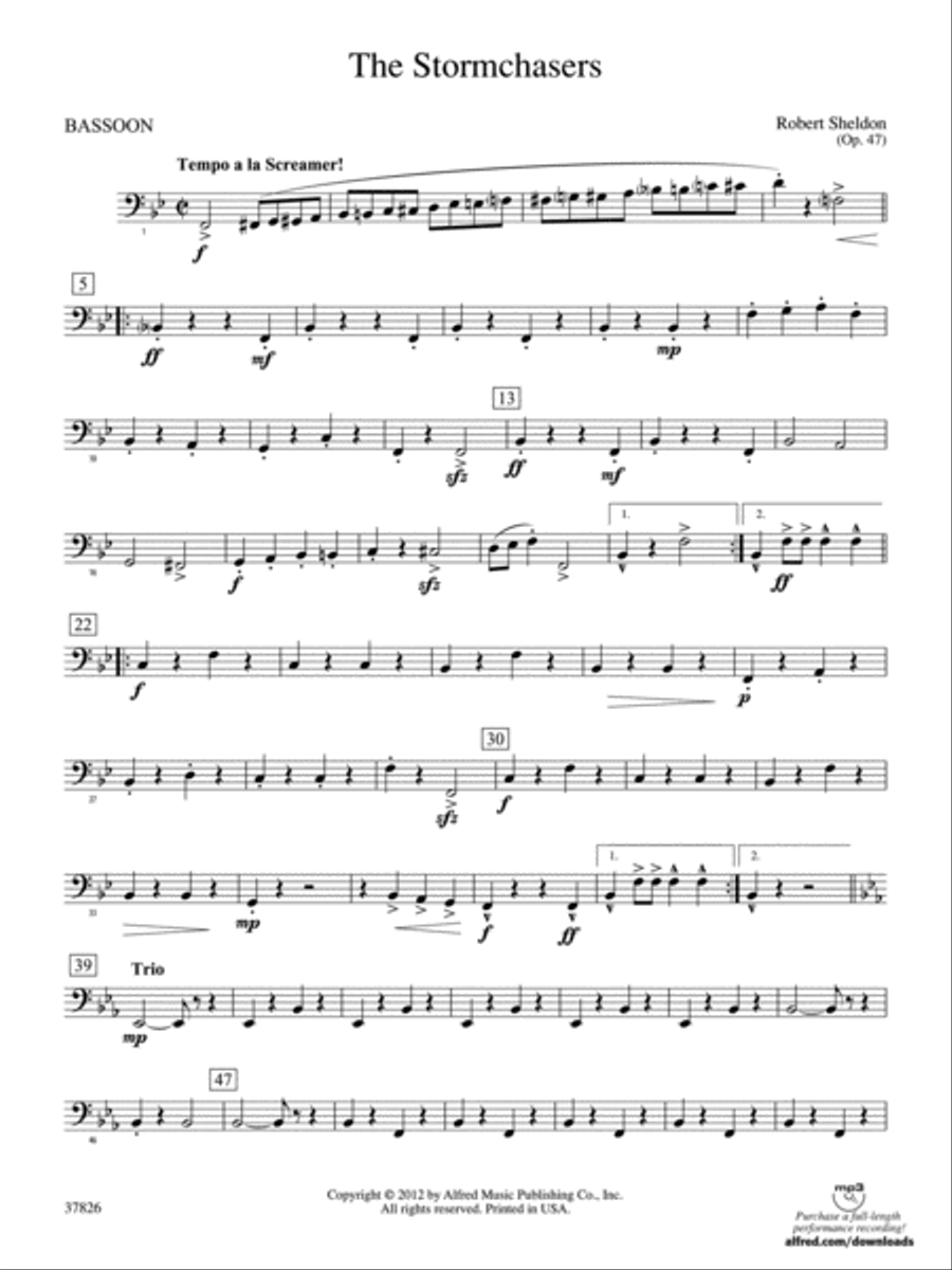 The Stormchasers: Bassoon Concert Band scores gallery preview page 1